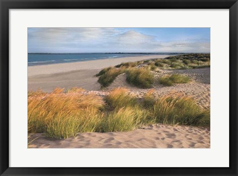 Framed Sandy Shores Print