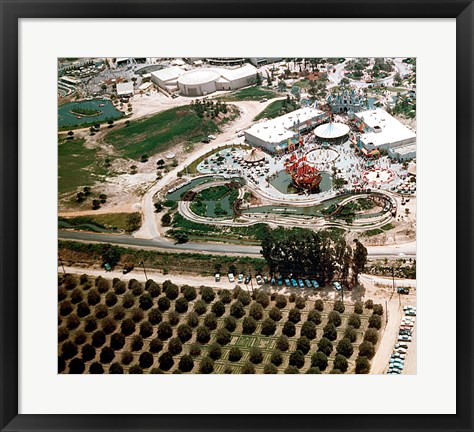 Framed Disneyland and Orange Groves, 1955 Print
