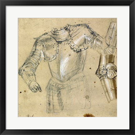 Framed Studies of Armor Print