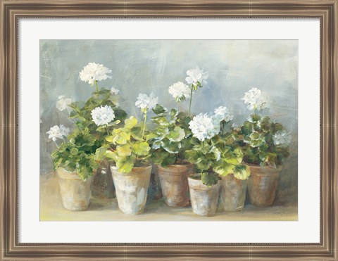 Framed White Geraniums Print