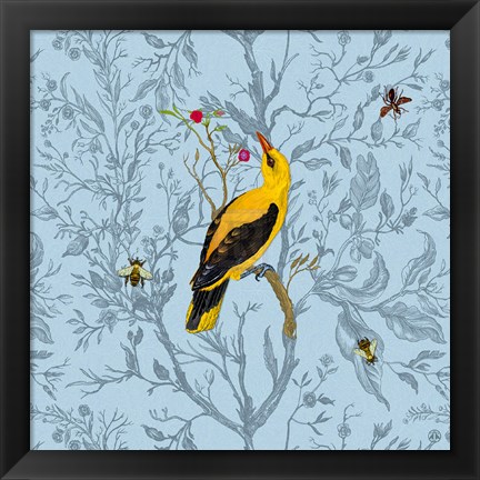 Framed Golden Oriole Print