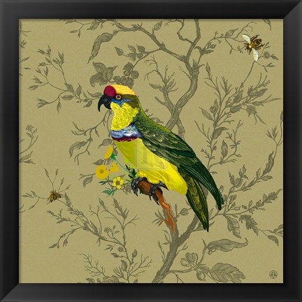 Framed Pisticule Parrot Print