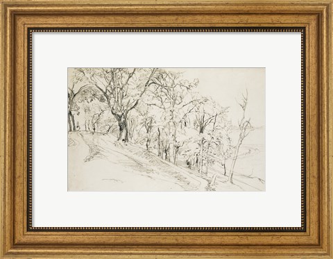 Framed Forest in Boisremond Print