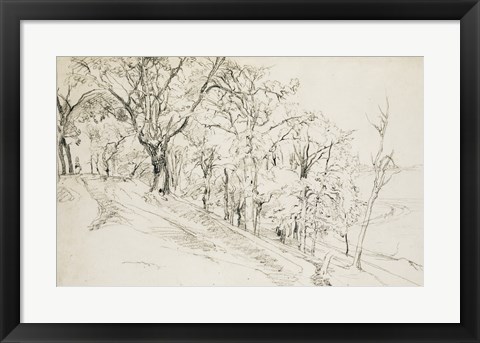 Framed Forest in Boisremond Print