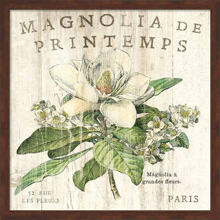 Framed Magnolia de Printemps Print