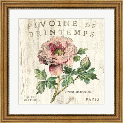 Framed Pivoine de Printemps Print