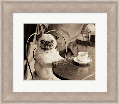 Framed Cafe Pug Print