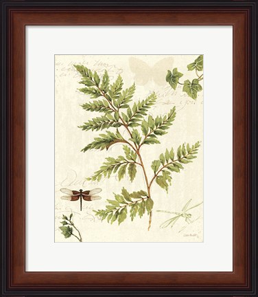 Framed Ivies and Ferns I Print