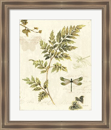 Framed Ivies and Ferns III Print