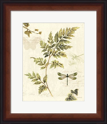 Framed Ivies and Ferns III Print