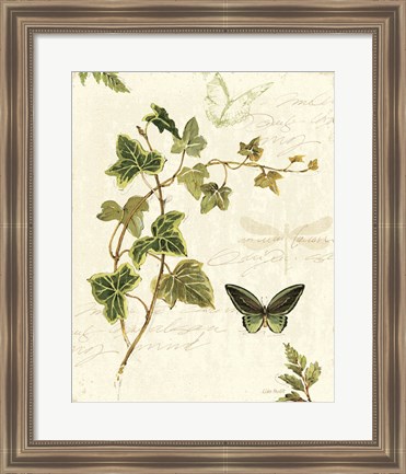 Framed Ivies and Ferns IV Print