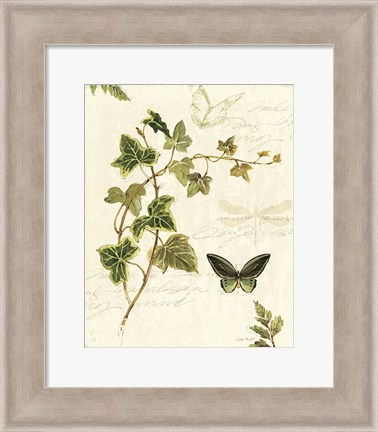 Framed Ivies and Ferns IV Print