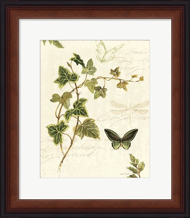 Framed Ivies and Ferns IV Print