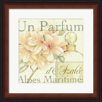 Framed Fleurs and Parfum III Print