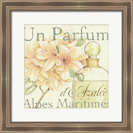 Framed Fleurs and Parfum III Print