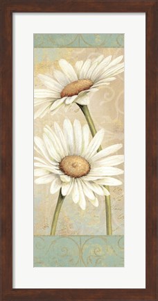 Framed Beautiful Daisies II Print