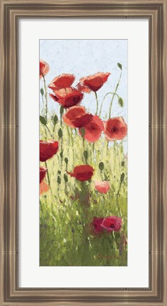 Framed Mountain Poppies I Print