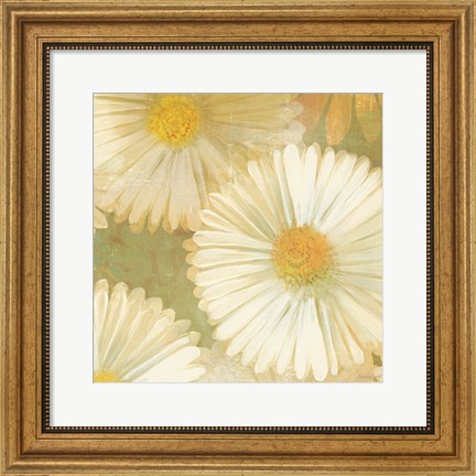 Framed Daisy Story Square I Print