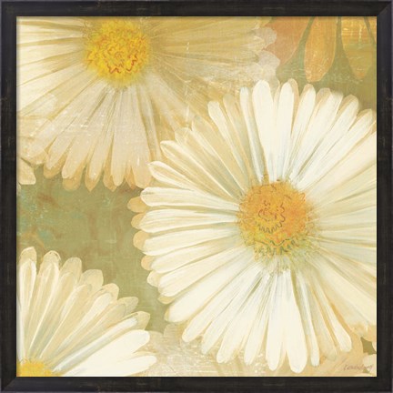 Framed Daisy Story Square I Print