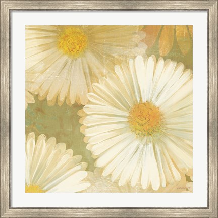 Framed Daisy Story Square I Print