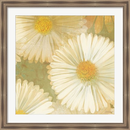 Framed Daisy Story Square I Print