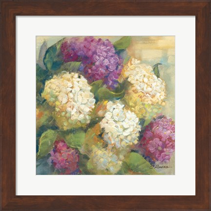 Framed Hydrangea Delight II Print