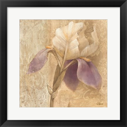 Framed Brocade Iris Print