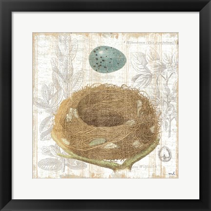 Framed Botanical Nest III Print