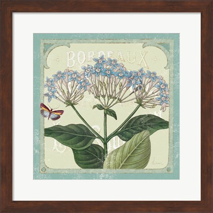 Framed Parisian Flower  I Print