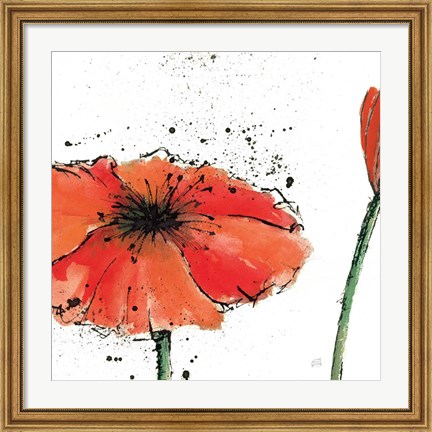 Framed Not a California Poppy III on White Print