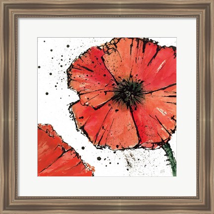 Framed Not a California Poppy on White IV Print