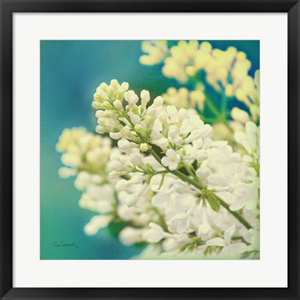 Framed Natures Lilac Blossom Print