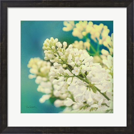 Framed Natures Lilac Blossom Print