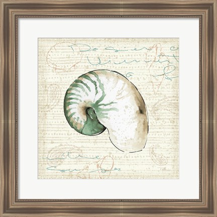 Framed Ocean Prints III Print