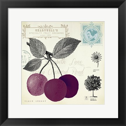 Framed Cherry Notes Print