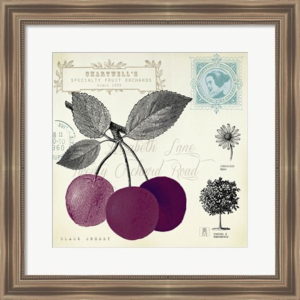 Framed Cherry Notes Print