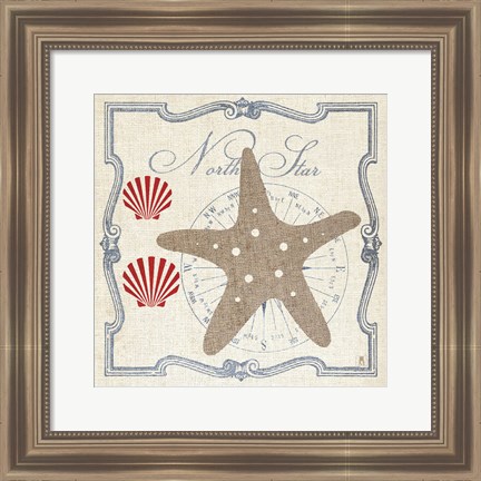 Framed Pacific Starfish Print