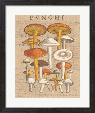 Framed Funghi Velenosi II Print