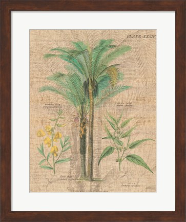 Framed Palm Study II Print