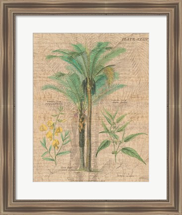 Framed Palm Study II Print