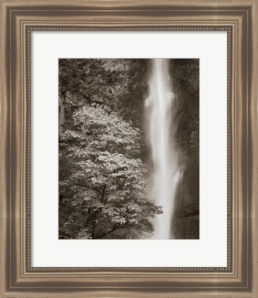 Framed Multnomah Falls Print