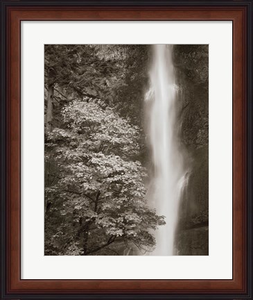 Framed Multnomah Falls Print