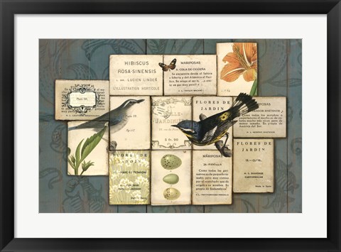 Framed Birds of the Garden Print