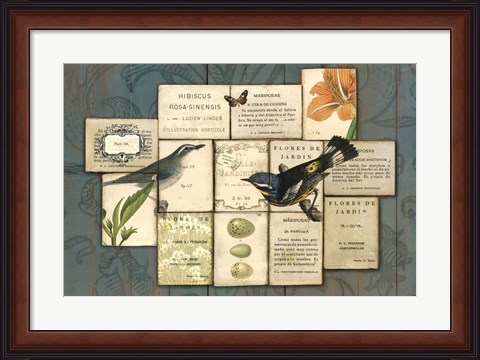 Framed Birds of the Garden Print