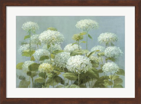 Framed White Hydrangea Garden Print