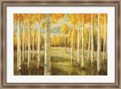 Framed Aspens Print