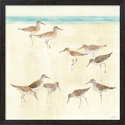 Framed Sandpipers Print