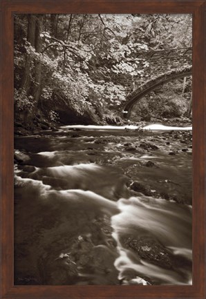 Framed Whatcom Creek Print