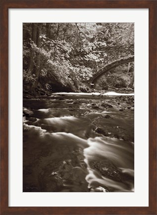 Framed Whatcom Creek Print