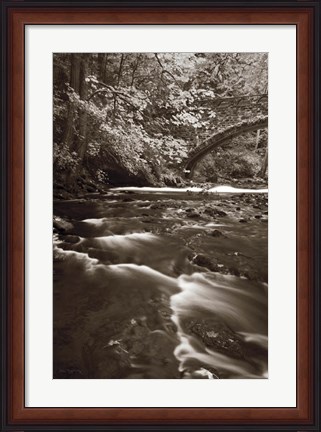 Framed Whatcom Creek Print